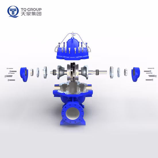Bomba de agua centrífuga Tianquan DN80 con carcasa dividida de succión doble horizontal